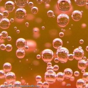 Bubbles-And-Bubbles-Display-Picture