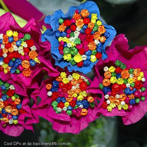 Bunch-Of-Colorful-Flowers-Display-Picture