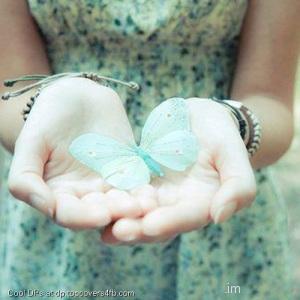 Butterfly-In-Hands-Profile-Picture