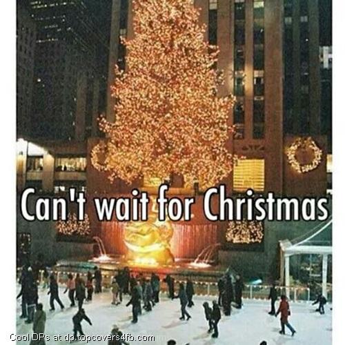 Christmas-Decoration-Tree-Display-Picture