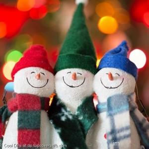 Christmas-Decorations-Holiday-Display-Picture