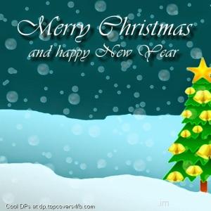 Christmas-Tree-2015-Display-Picture