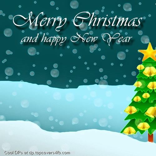 Christmas-Tree-2015-Display-Picture