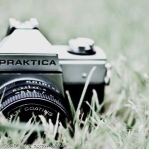 Close-Up-Photography-Display-Picture