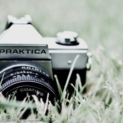 Close-Up-Photography-Display-Picture