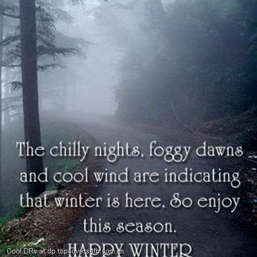 Enjoy-This-Winter-Season-With-Chilly-Nights-Display-Picture