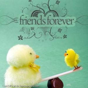 Friends-Forvever-Chicks-Display-Picture