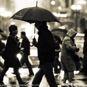 Lonely-In-Rain-Display-Picture