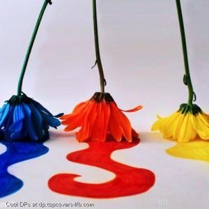 Melted-Flowers-Colours-Dsiplay-Picture