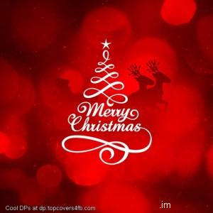 Merry-Christmas-2015-Display-Picture