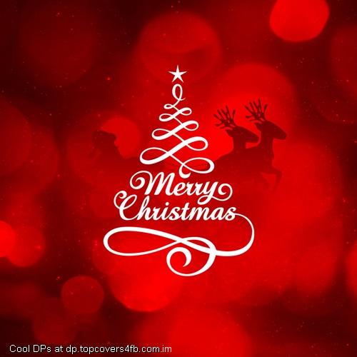 Merry-Christmas-2015-Display-Picture