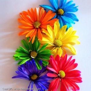 Multiple-Coloured-Flowers-Dsiplay-Picture