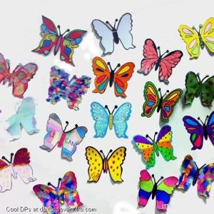 Paper-Butterfly-Display-Picture