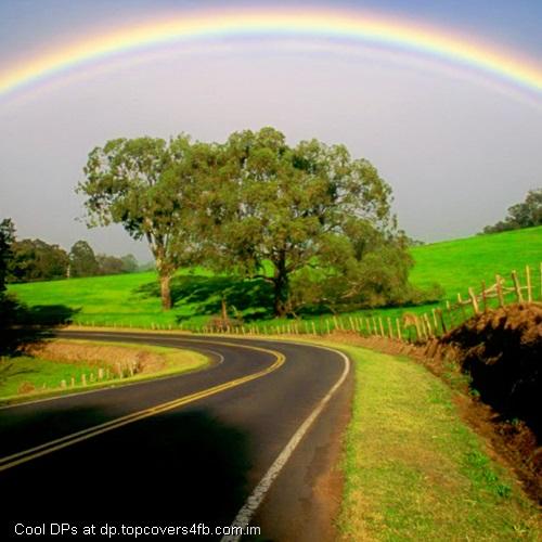 Rainbow-And-Sunlight-Display-Picture