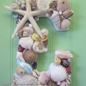 Starfish-E-Alphabet-Display-Picture