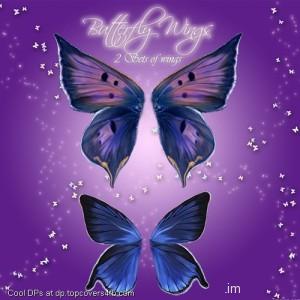 Wings-Of-Butterfly-Display-Picture