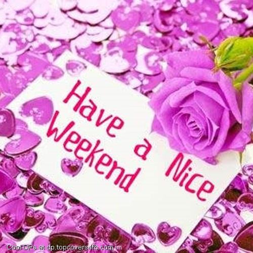 A-Nice-Weekend-With-Pink-Rose-Display-Picture