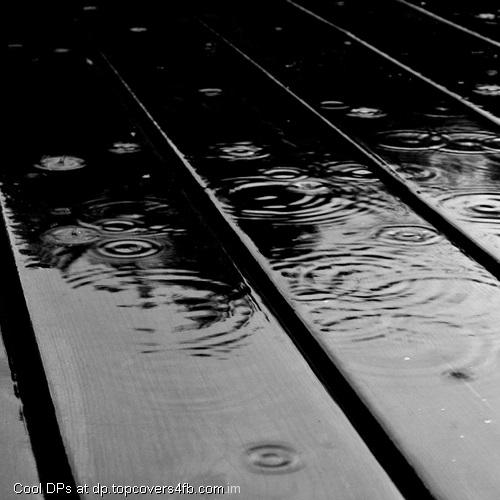 Black-And-White-Rain-Drops-Display-Picture