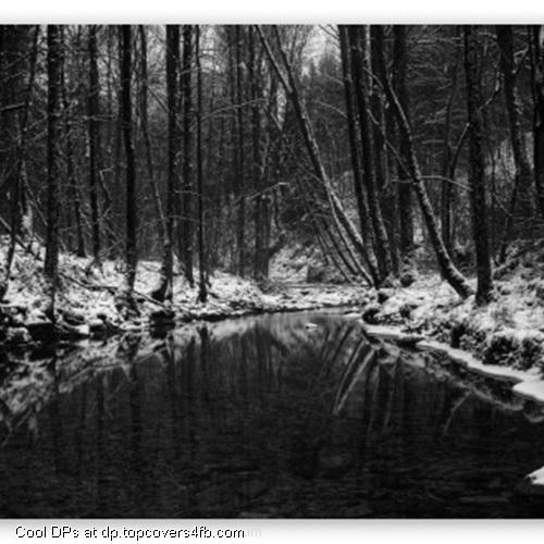 Black-River-Display-Picture