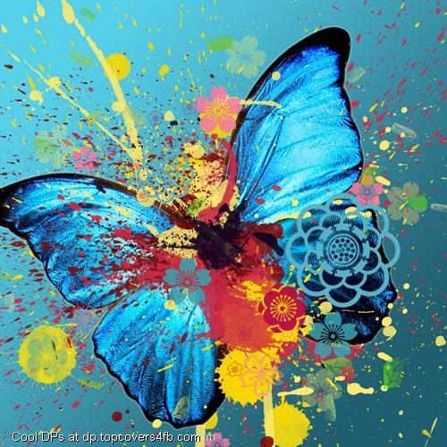 Butterfly-Filled-With-Colours-Display-Picture