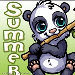 Cute-Summer-Baby-Bear-Display-Picture