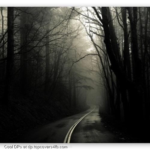 Dark-Road-Forest-Display-Picture