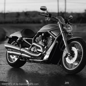 Elegant-Bike-Ride-Display-Picture