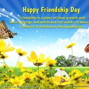 Friendship-Plant-Display-Picture