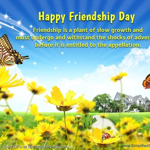 Friendship-Plant-Display-Picture