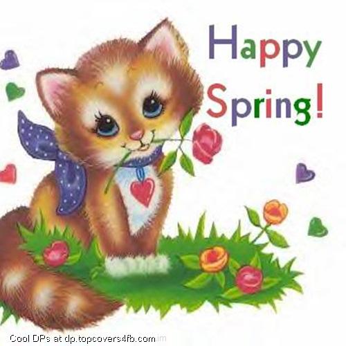 Happy-Spring-From-Adorable-Kitty-Display-Picture