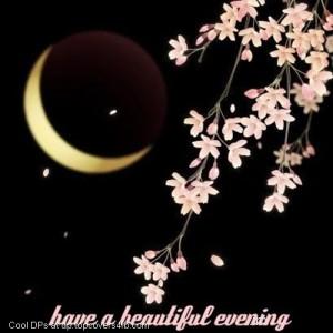 Have-A-Beautiful-Evening-Display-Picture