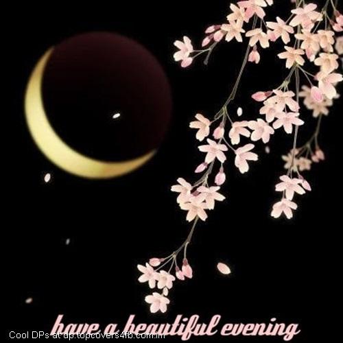 Have-A-Beautiful-Evening-Display-Picture