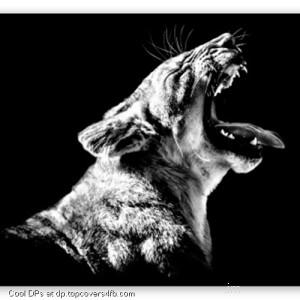 Lion-Roaring-Loud-Display-Picture