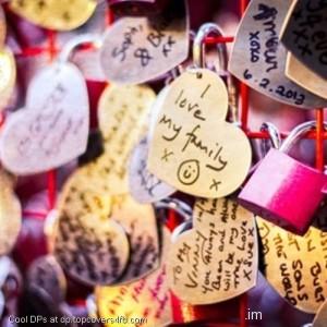 Love-Locks-Hanging-Display-Picture