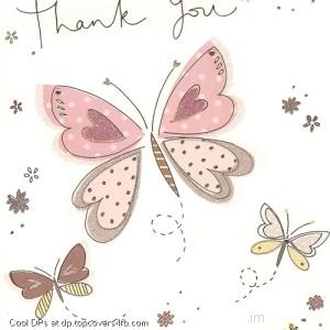 Lovely-Butterflies-Display-Picture