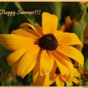 Lovely-Summer-Sunflower-Display-Picture