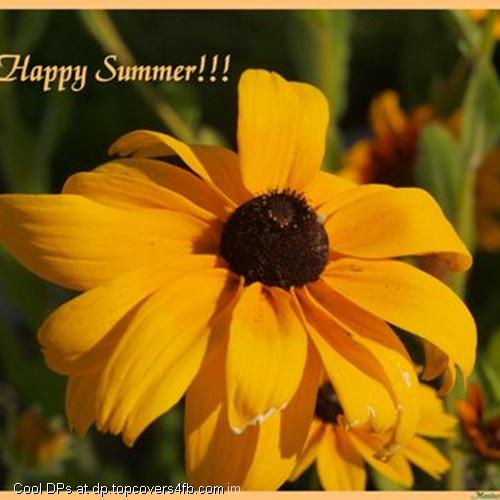 Lovely-Summer-Sunflower-Display-Picture