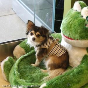 My-Play-Toy-Display-Picture