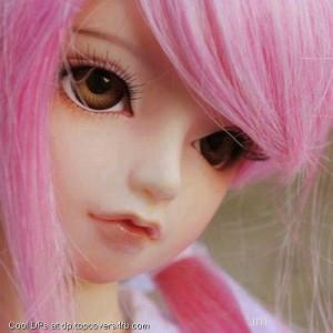 Pink-Hairs-Doll-Display-Picture