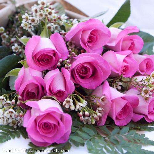 Pink-Rose-With-Orchid-Flower-Display-Picture