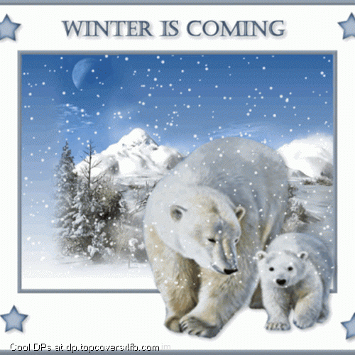 Polar-Bears-Says-Winter-Is-Coming-Display-Picture