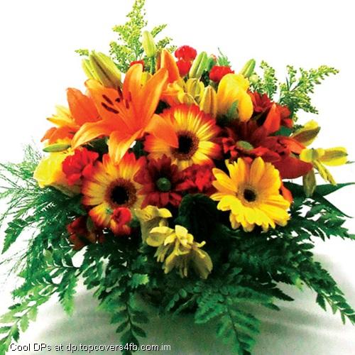 Pot-With-Flower-Display-Picture