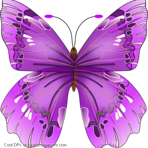 Purple-Butterfly-Drawing-Display-Picture