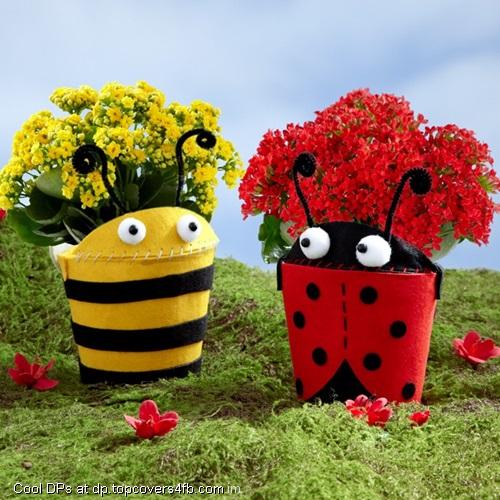 Red-Yellow-Box-Flower-Display-Picture