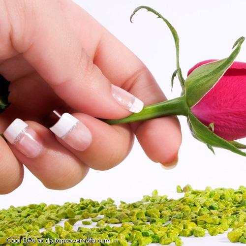 Rose-In-Hand-Display-Picture