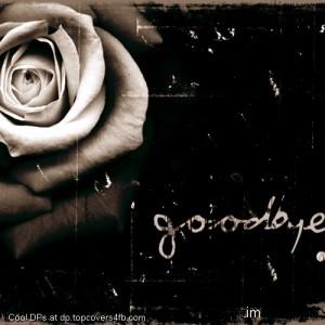 Rose-To-Say-Good-Bye-Display-Picture