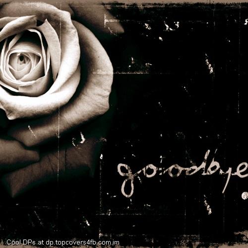 Rose-To-Say-Good-Bye-Display-Picture