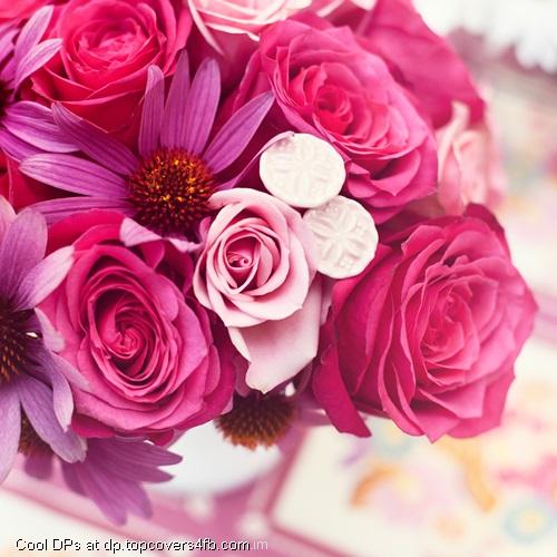 Rose-With-Purple-Flower-Display-Picture