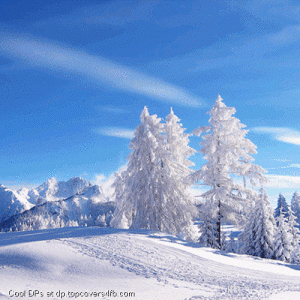 Scenic-View-Of-Winter-Display-Picture