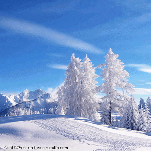 Scenic-View-Of-Winter-Display-Picture